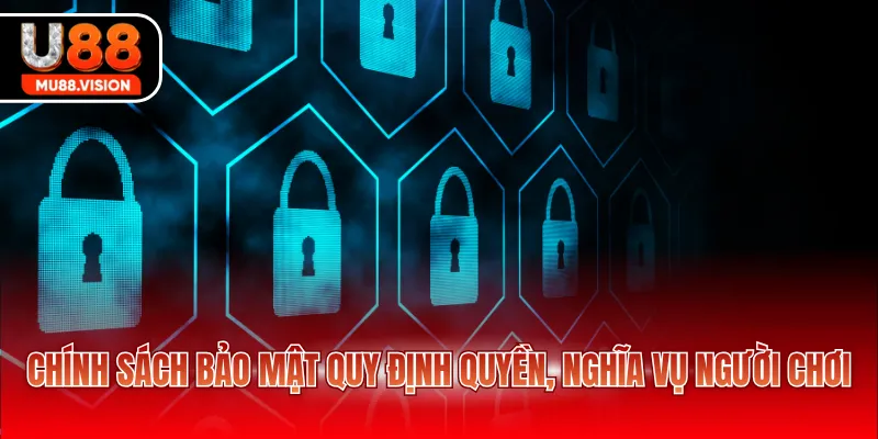 Chính sách bảo mật quy định quyền, nghĩa vụ người chơi